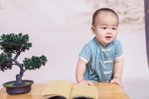图木舒克可爱的企鹅宝宝